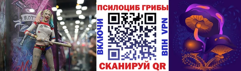 наркотики  Белореченск  Галлюциногенные грибы Psilocybe 
