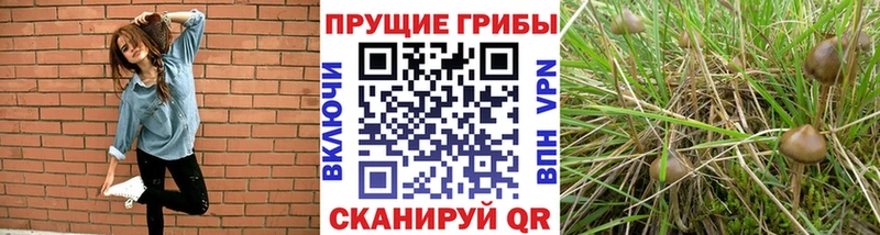 Галлюциногенные грибы ЛСД Белореченск