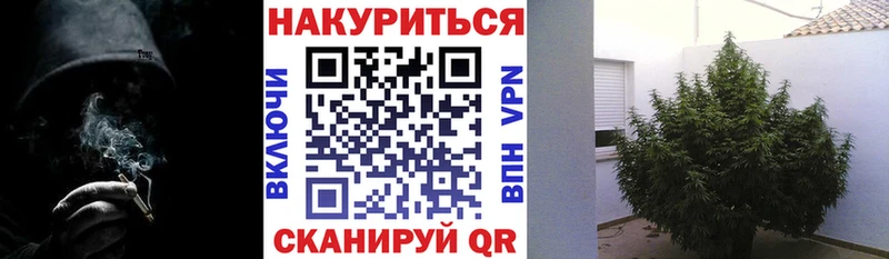 МАРИХУАНА сатива  дарк нет клад  Белореченск 